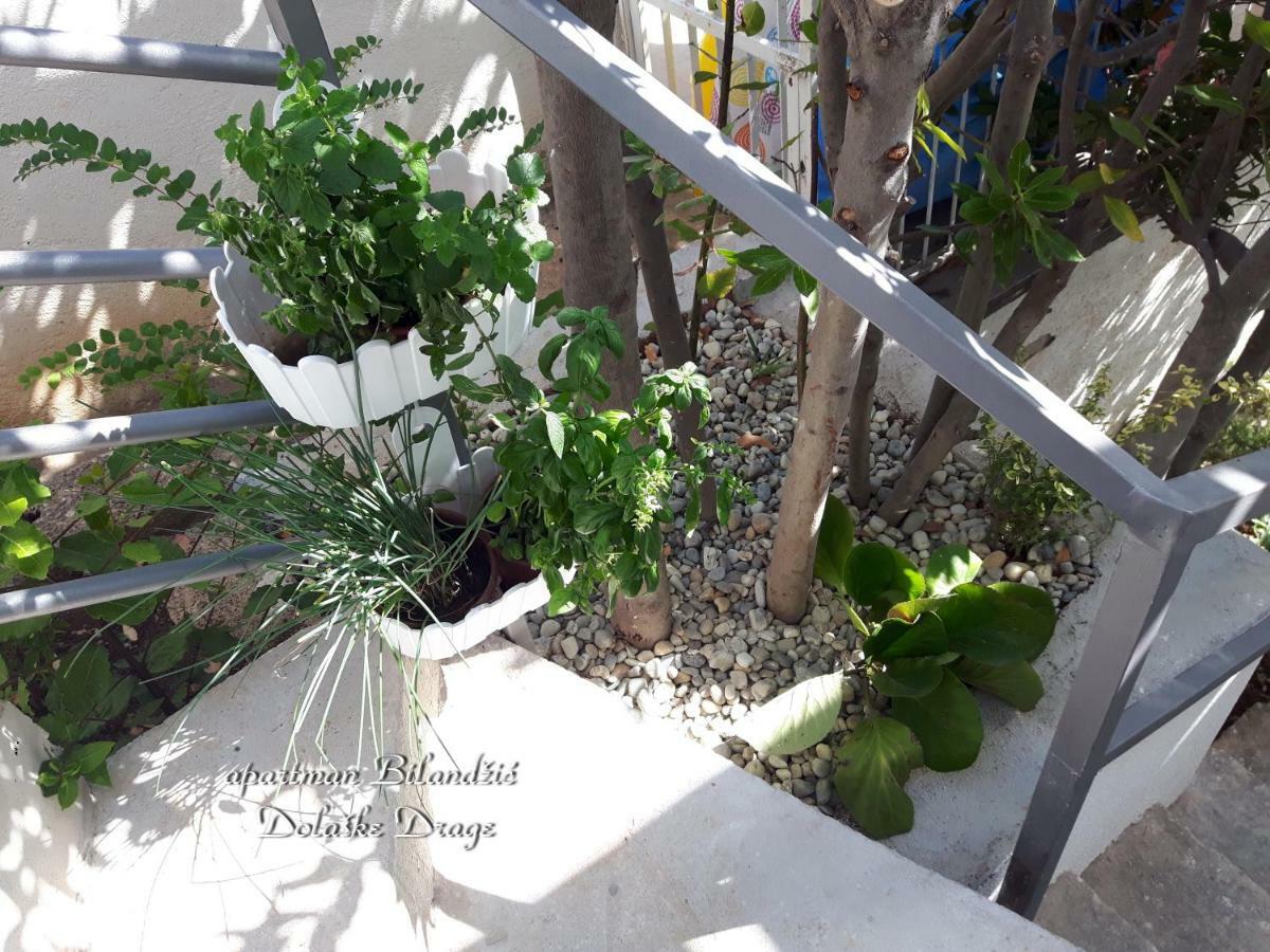 Apartman Bilandzic ดราเก ภายนอก รูปภาพ